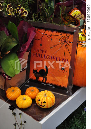 Happy Halloween Happy Halloween 81869360