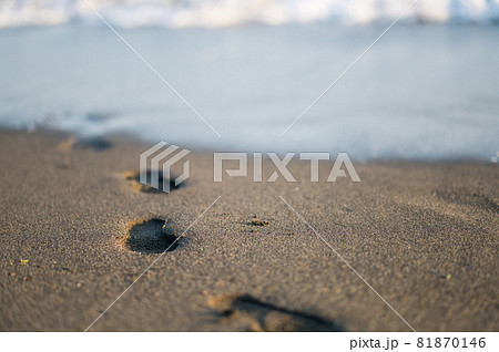 砂浜に残る足跡 81870146