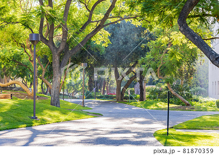 Sunny view of the California Institute of Technology campus Sunny view of the California Institute of Technology campus 81870359