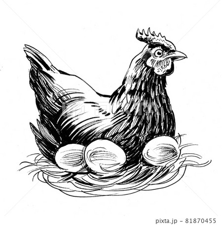Hen bird with eggs. Ink black and white drawing Hen bird with eggs. Ink black and white drawing 81870455