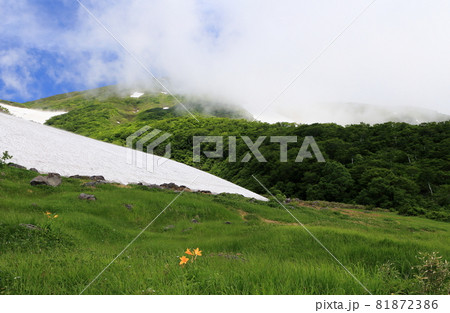初夏の鳥海山麓東斜面酒田市側 81872386