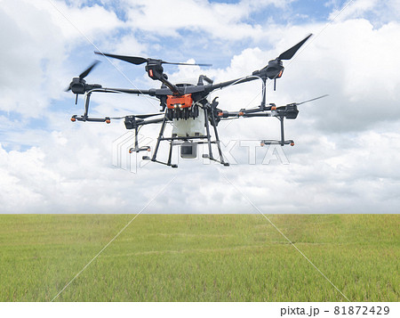 Agricultural drones make flights to prepare to spray rice fields. Agricultural technology smart farm concept. 81872429