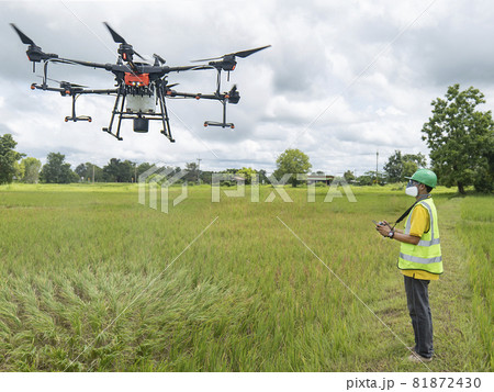 Farmer technicians control agriculture drone fly to sprayed fertilizer on the green rice field smart farm. Agricultural technology concept. 81872430