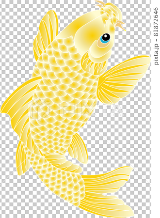 黄金の鯉のイラスト素材 [81872646] - PIXTA