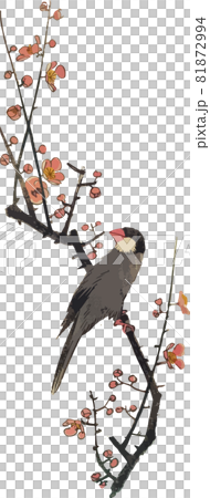 梅と文鳥 81872994