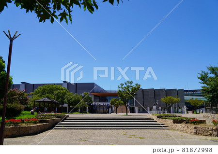 大阪　堺市　大浜公園　大浜体育館・大浜武道館（晩夏） 81872998