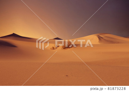 sunset dunes sunset dunes 81873228
