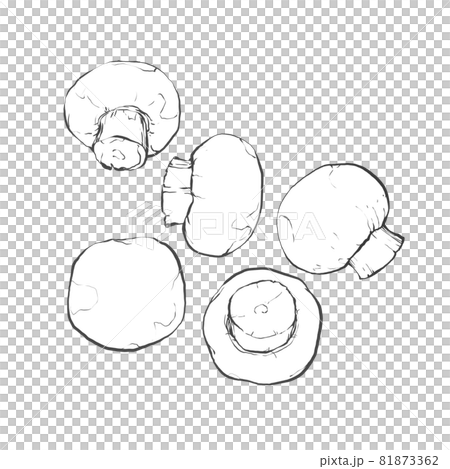 Japanese style hand-drawn line art illustration of mushrooms Japanese style hand-drawn line art illustration of mushrooms 81873362