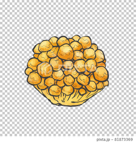 Nameko Japanese style hand-drawn illustration 81873369