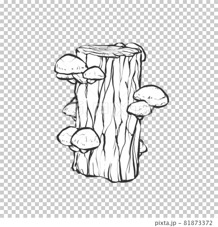 Japanese-style hand-drawn line art illustration of log-grown shiitake mushrooms 81873372