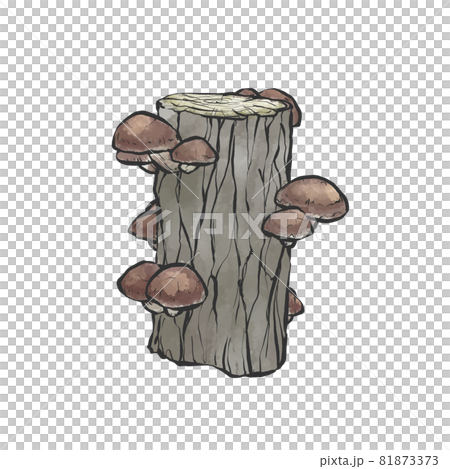Japanese-style hand-drawn illustration of log-grown shiitake mushrooms 81873373