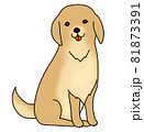 お座りするゴールデンレトリーバーのイラスト 81873391