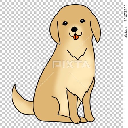 お座りするゴールデンレトリーバーのイラストのイラスト素材 [81873391