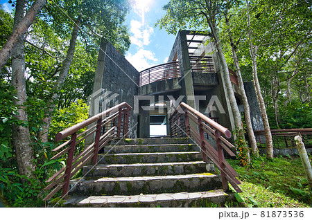 青森県 十和田湖周辺の御鼻部山展望台 青森県 十和田湖周辺の御鼻部山展望台 81873536