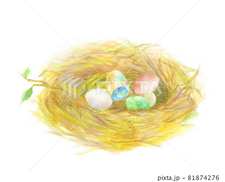 鳥の巣 卵 手描きのイラスト素材