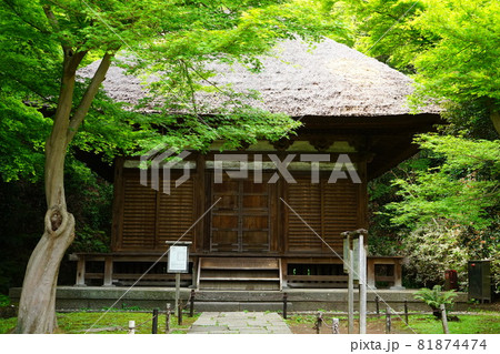 日本庭園 日本家屋 日本庭園 日本家屋 81874474