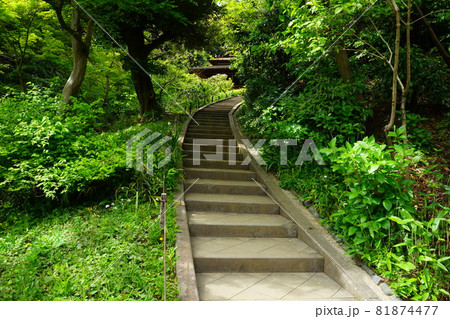 日本庭園 日本家屋と石段 日本庭園 日本家屋と石段 81874477