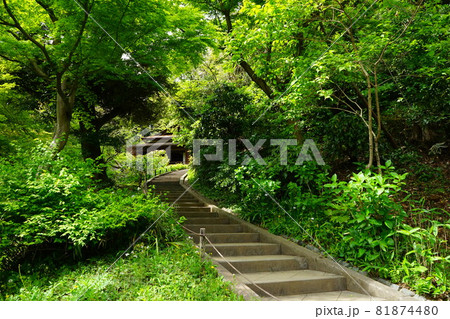 日本庭園 日本家屋と石段 日本庭園 日本家屋と石段 81874480