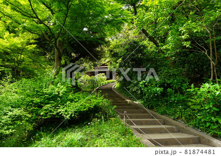 日本庭園 日本家屋と石段 日本庭園 日本家屋と石段 81874481