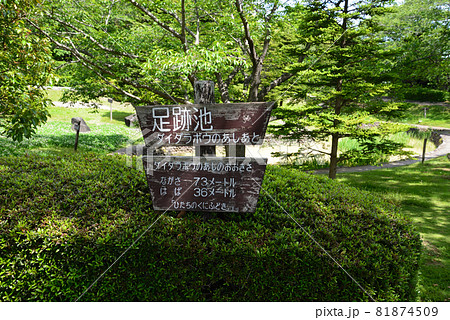 大串貝塚ふれあい公園へ行きました　＃19 81874509