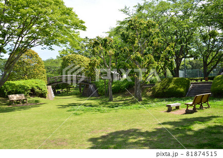 大串貝塚ふれあい公園へ行きました　＃13 81874515