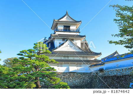 【高知県】快晴下の高知城天守閣(本丸) 【高知県】快晴下の高知城天守閣(本丸) 81874642