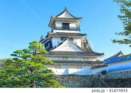 【高知県】快晴下の高知城天守閣（本丸） 81874643