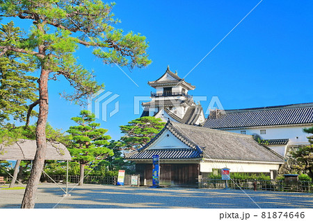 【高知県】快晴下の高知城天守閣（本丸） 81874646