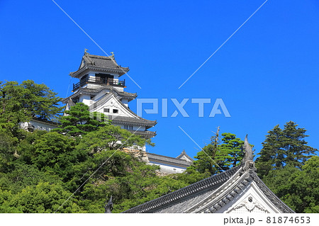 【高知県】快晴下の高知城天守閣(本丸) 【高知県】快晴下の高知城天守閣(本丸) 81874653
