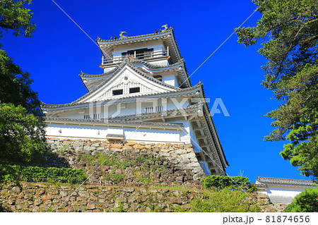 【高知県】快晴下の高知城天守閣 81874656