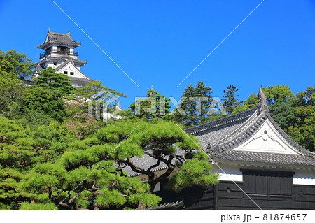 【高知県】快晴下の高知城天守閣と追手門 81874657