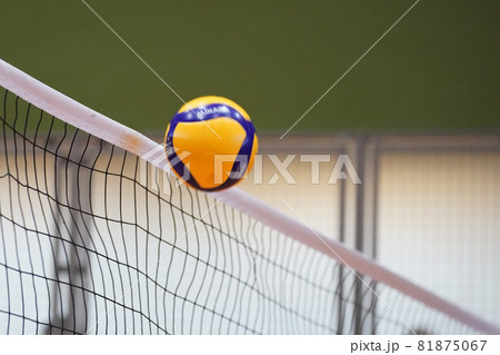 ネット際のバレーボール ネット際のバレーボール 81875067