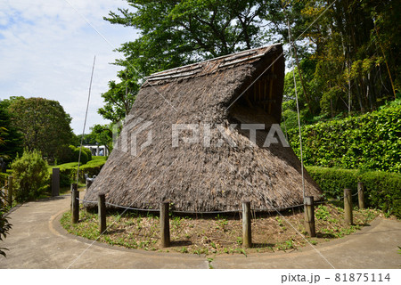 大串貝塚ふれあい公園へ行きました　＃26 81875114