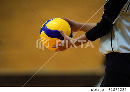 サーブを打とうとする瞬間のバレー選手 81875225