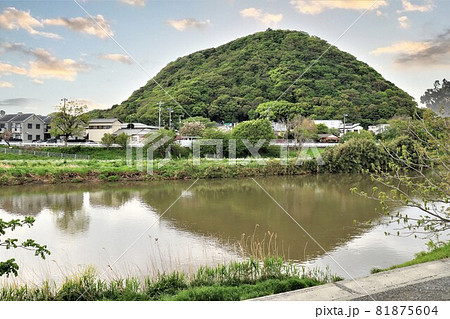 神奈川県の大磯高麗山 81875604