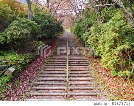 紅葉の別子銅山のインクライン 81875715