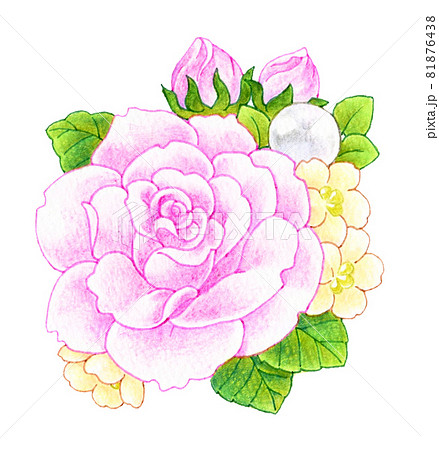 ピンクのバラのコサージュの色鉛筆画イラストのイラスト素材