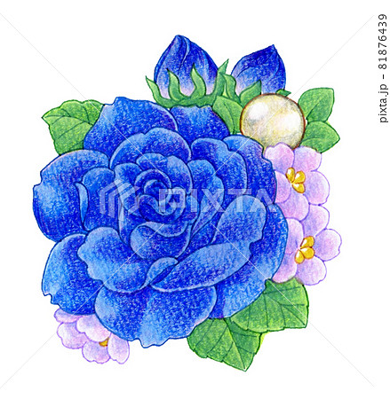 青いバラのコサージュの色鉛筆画イラストのイラスト素材 [81876439