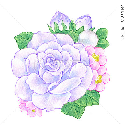 薄紫色のバラのコサージュの色鉛筆画イラストのイラスト素材