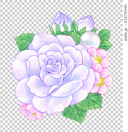 薄紫色のバラのコサージュの色鉛筆画イラストのイラスト素材 [81876440