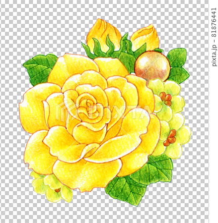 黄色いバラのコサージュの色鉛筆画イラストのイラスト素材