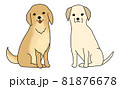 お座りするゴールデンレトリーバーとラブラドールレトリバーのイラスト 81876678