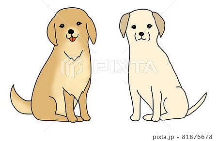 お座りするゴールデンレトリーバーとラブラドールレトリバーのイラスト 81876678