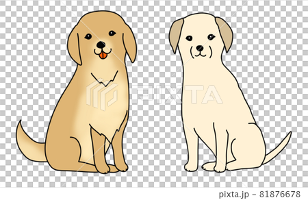 お座りするゴールデンレトリーバーとラブラドールレトリバーのイラスト 81876678