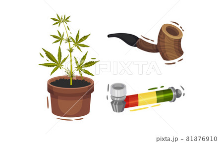 Pipe for Smoking Cannabis and Plant Growing in Pot Vector Set 81876910