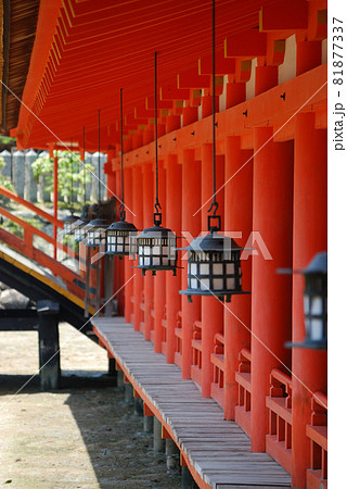 広島県　宮島　厳島神社 81877337
