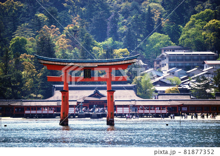 広島県　宮島　厳島神社 81877352