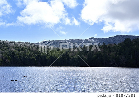 白駒の池と霧氷付く山 白駒の池と霧氷付く山 81877581