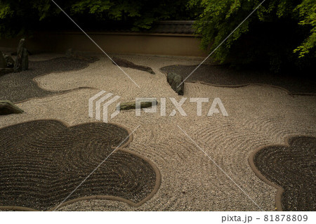 龍吟庵庭園 81878809