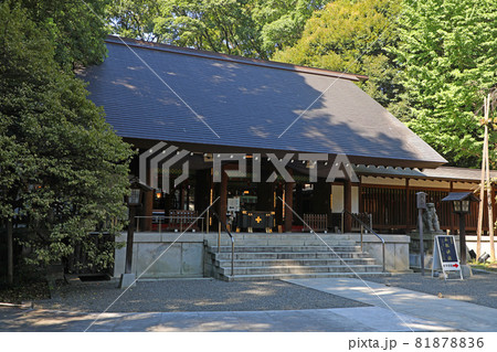 乃木神社の社殿 81878836